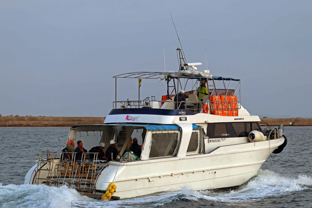 Ariel�@�E����