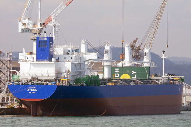 AYSEL�@�E����