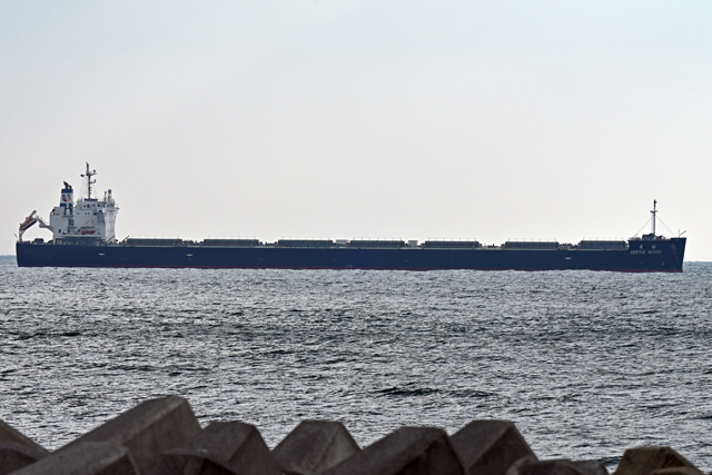 CEMTEX HONOR�@�E��