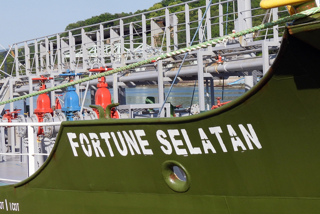 FORTUNE SELATAN@ꕔ