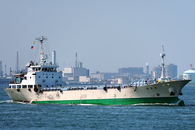 ‹v‹gŠÛ@‰EŒ½‘O