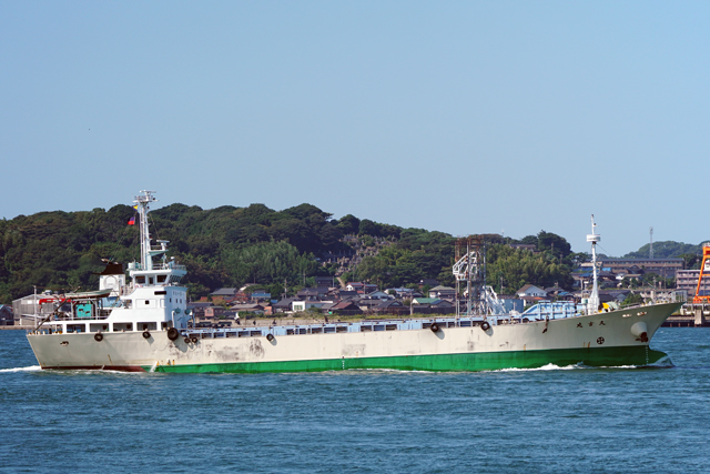 ‹v‹gŠÛ@‰EŒ½