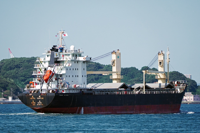 JOYFUL FORTUNE@E½γ