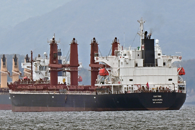 KAYING�@������