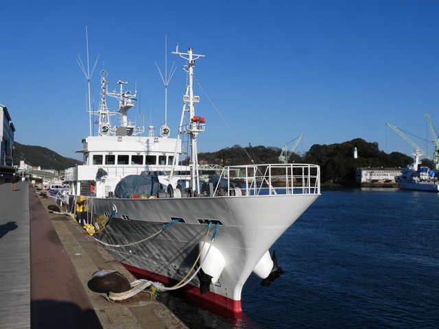 �݂���@�D��