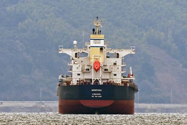 MORPHOU�@�D��