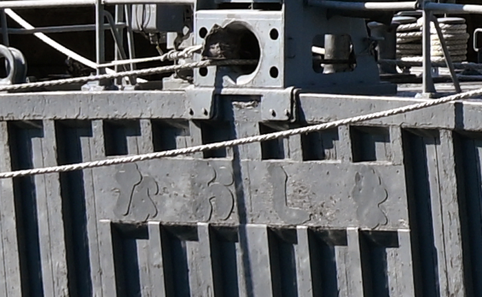 MSC684 なおしま 船尾