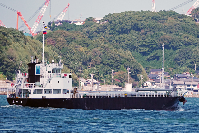 ‰i“cŠÛ@‰EŒ½Œã