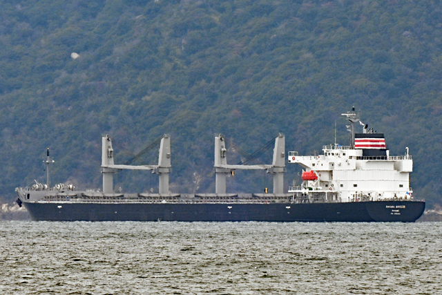 SAKURA BREEZE�@������