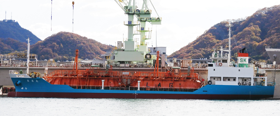 ��z�ہi������܂�j�@����